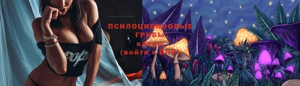 2c-b Белокуриха