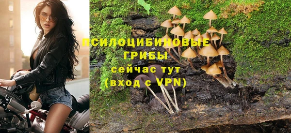 стафф Балахна