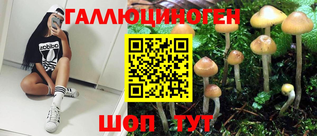 Галлюциногенные грибы мухоморы Мурманск