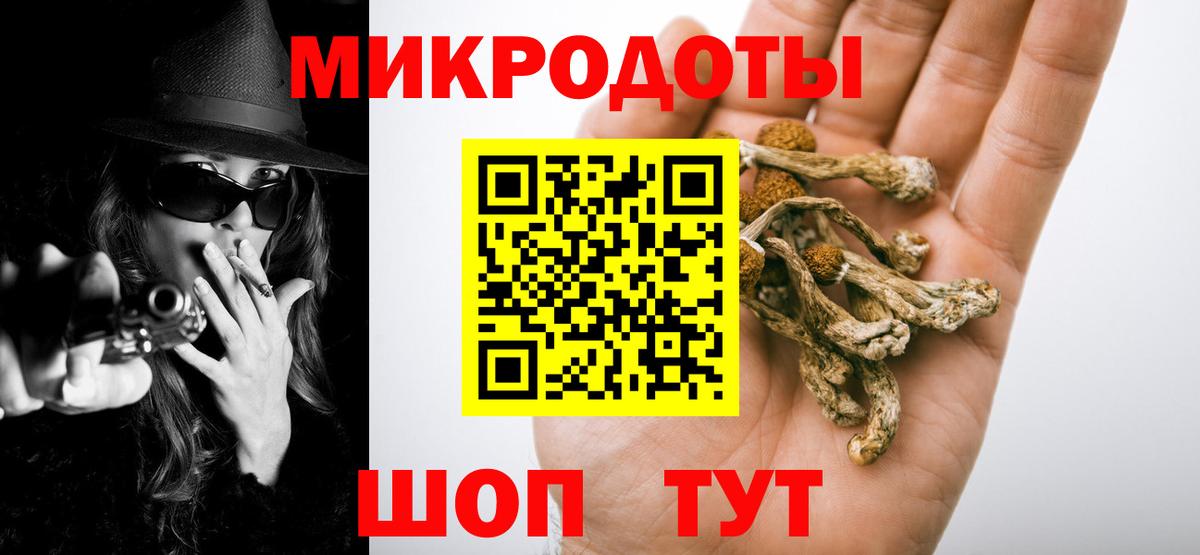 Псилоцибиновые грибы Psilocybe  Псилоцибиновые грибы Psilocybe  Мурманск  Вход с VPN 